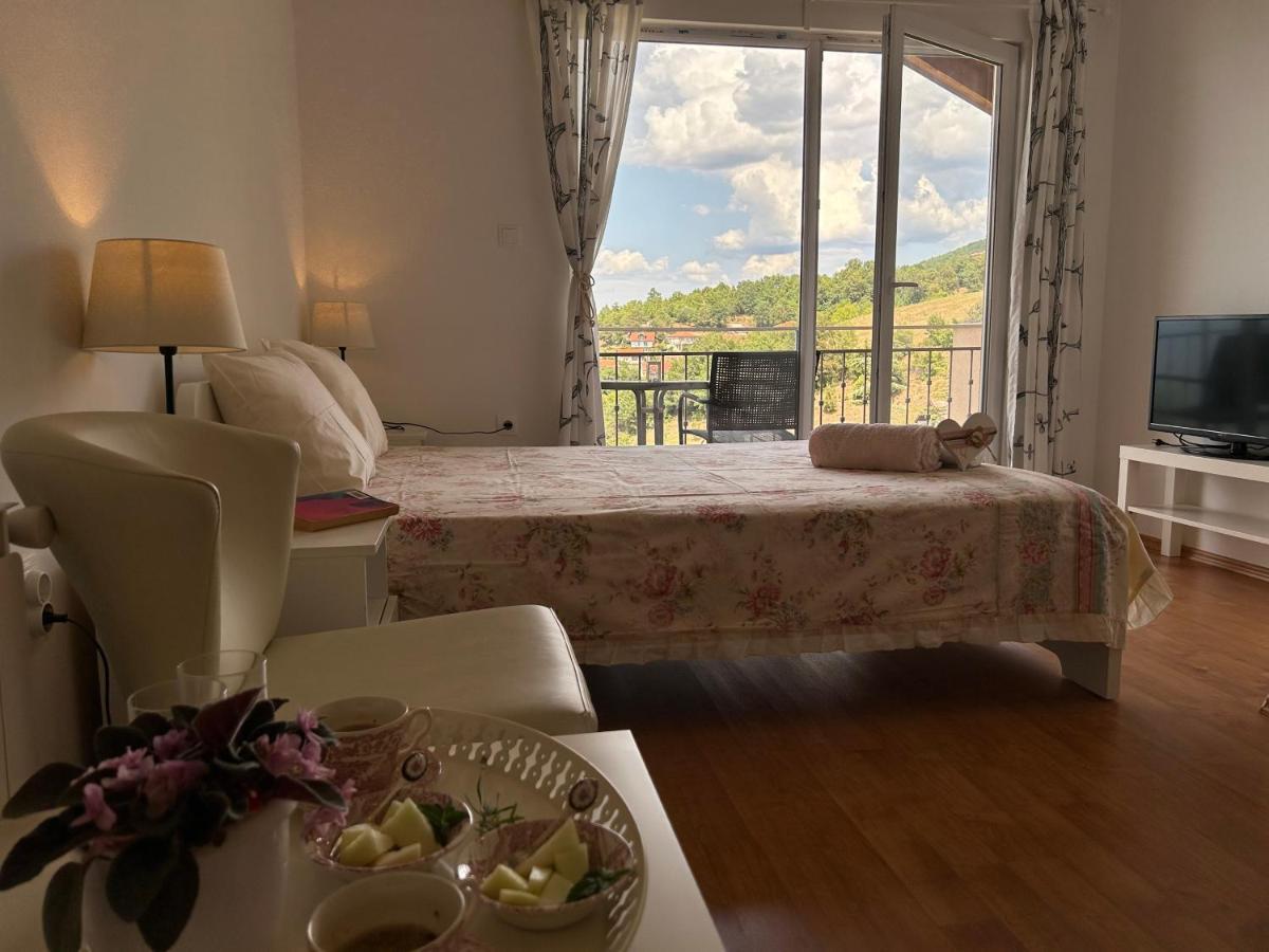 Villa Chingo オフリド エクステリア 写真
