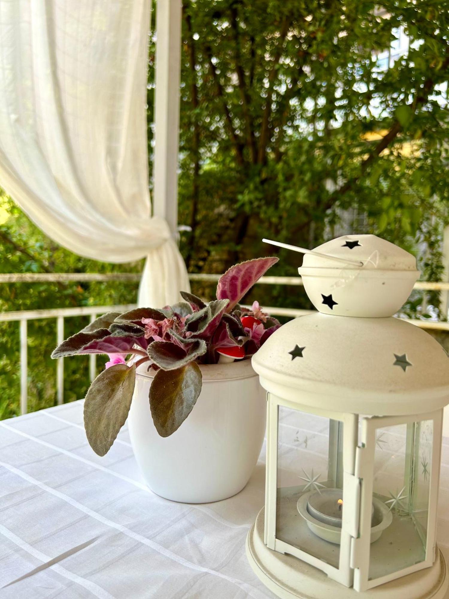 Villa Chingo オフリド エクステリア 写真